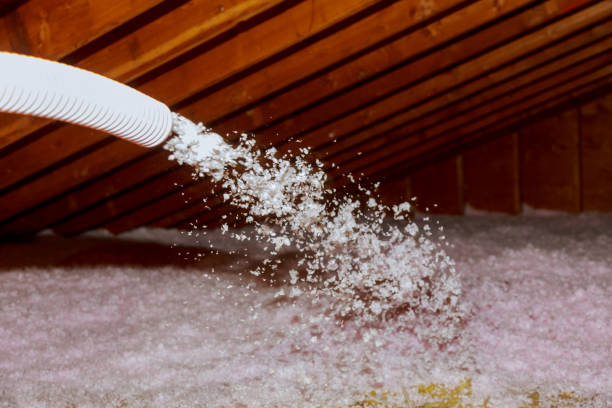 Best Energy Efficiency Insulation in Port Byron, IL