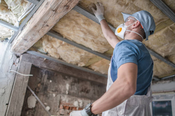Best Specialized Insulation Services in Port Byron, IL