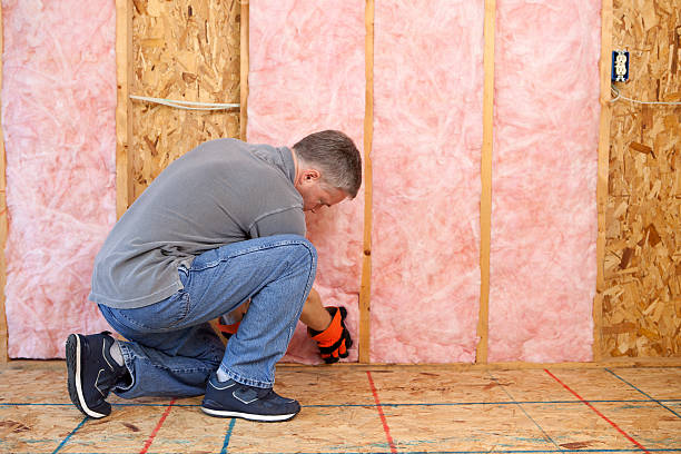 Types of Insulation We Offer in Port Byron, IL