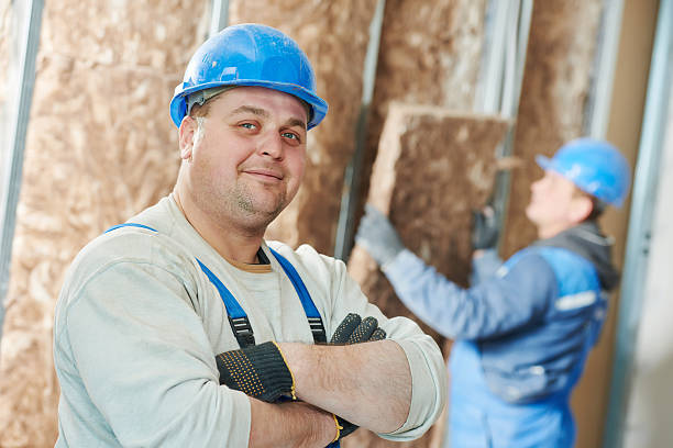 Best Fiberglass Insulation in Port Byron, IL