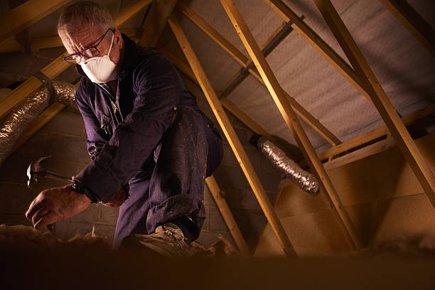 Best Spray Foam Insulation in Port Byron, IL