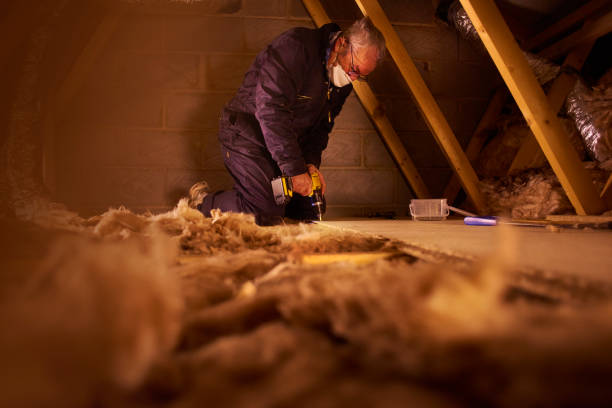 Best Insulation Maintenance and Repair in Port Byron, IL