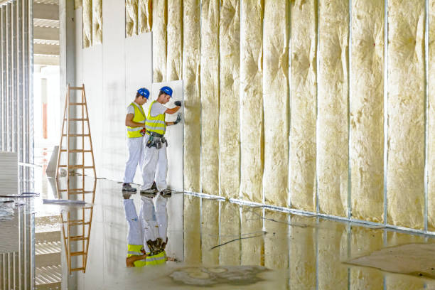 Reliable Port Byron, IL Insulation Contractor Solutions